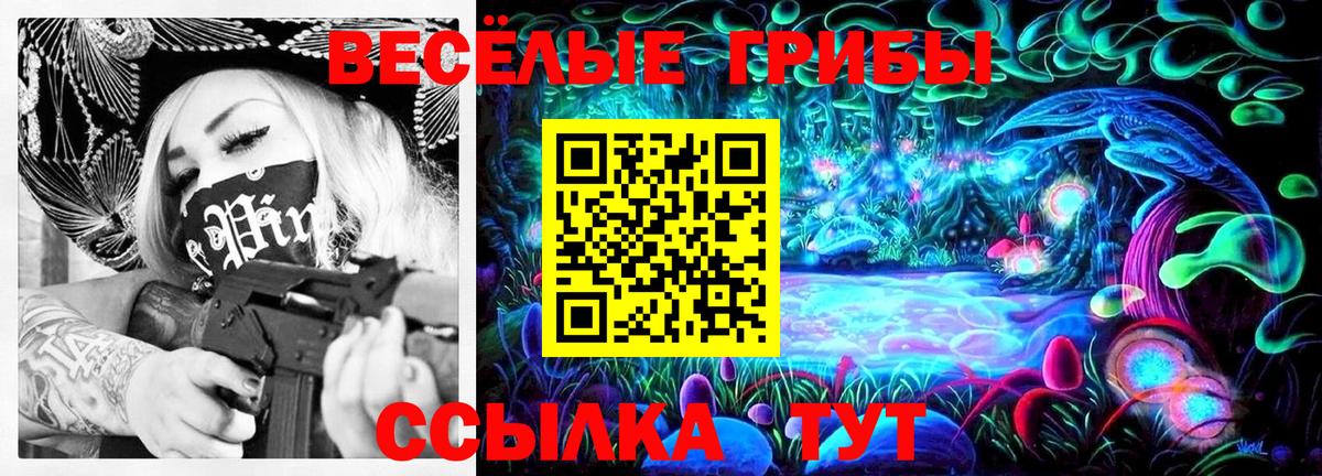 Галлюциногенные грибы мицелий  Вход с VPN  Казань  Галлюциногенные грибы MAGIC MUSHROOMS 